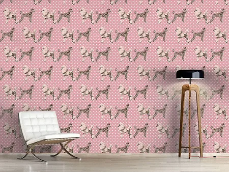 Wall Mural Pattern Wallpaper Poodles With Heart