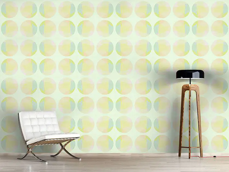 Wall Mural Pattern Wallpaper Shy Circles