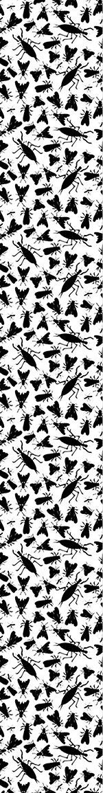 Carta da parati The Insect Collection Of Edgar Allan