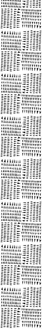 Wall Mural Pattern Wallpaper Collection Of Spearheads