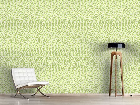 Wall Mural Pattern Wallpaper Kiwi Star