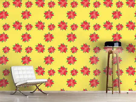 Wall Mural Pattern Wallpaper Poinsettia In Bloom