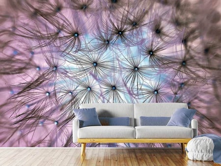 Wall Mural Photo Wallpaper Dandelion in the light play