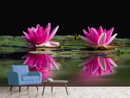 Wall Mural Photo Wallpaper Water Lilies Duo in pink