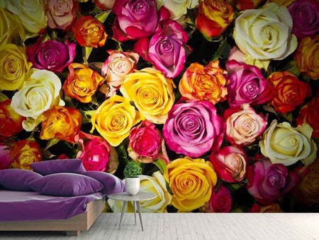 Fotomurale Molti colorati petali di rosa