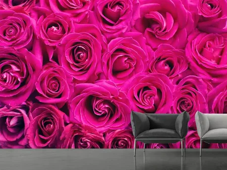 Fotomurale Petali di rosa in rosa