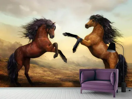 Wall Mural Photo Wallpaper Two wild horses