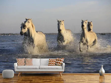Fotomurale Cavalli nel mare