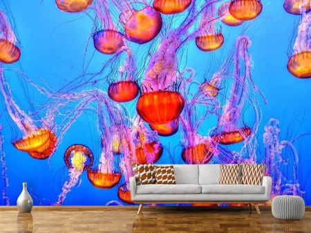 Fotobehang Colorful jellyfish