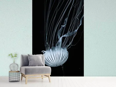 Wall Mural Photo Wallpaper Beware jellyfish