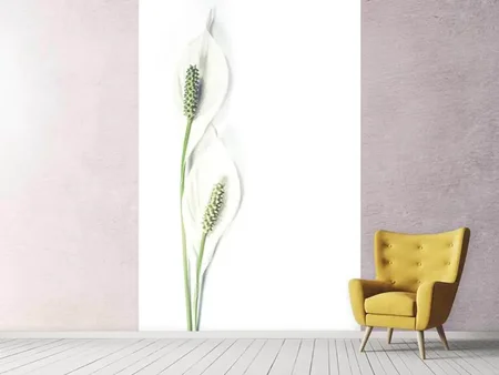 Wall Mural Photo Wallpaper Lily seed pods