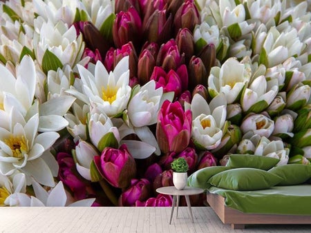 Fototapet A bouquet of water lilies