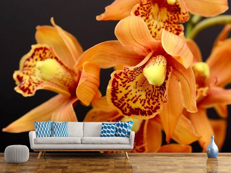 Fotomurale Orchidee con fiori d'arancio