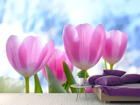 Wall Mural Photo Wallpaper Tulips in nature