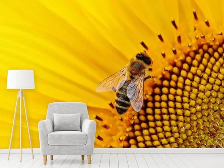 Valokuvatapetti Bee on the sunflower