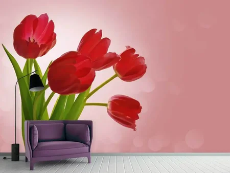 Wall Mural Photo Wallpaper Red tulips bouquet