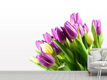 Wall Mural Photo Wallpaper Tulips in XL