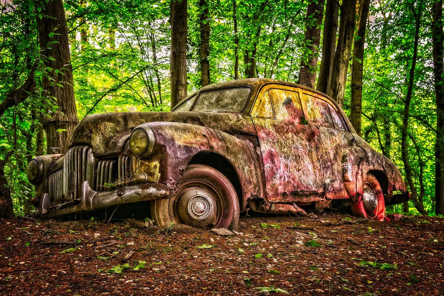 Fototapet Abandoned classic car