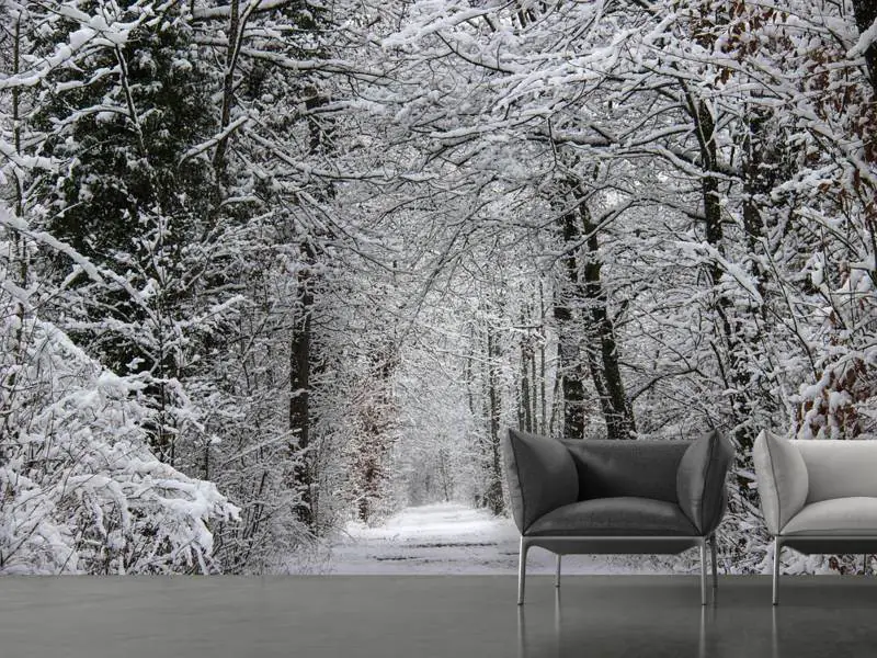 Papier peint photo Forêt d'hiver enchantée