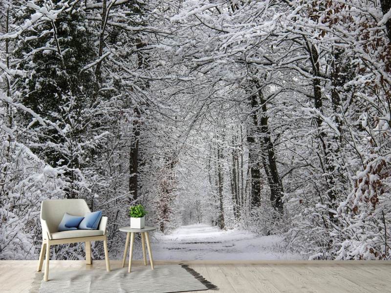 Wall Mural Photo Wallpaper Enchanted winter forest