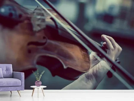 Fotobehang violin