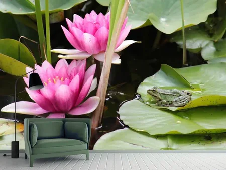 Wall Mural Photo Wallpaper The frog in the protection of water lilies