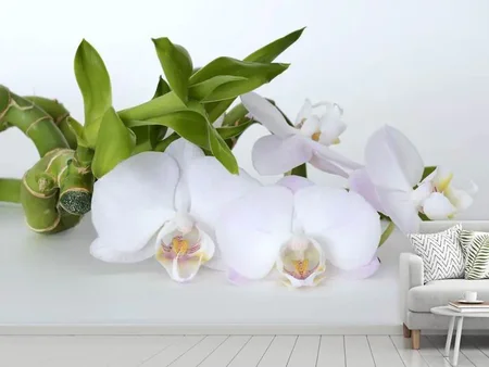 Wall Mural Photo Wallpaper Orchid and bamboo