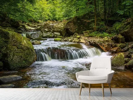 Wall Mural Photo Wallpaper Relaxation at the waterfall 2