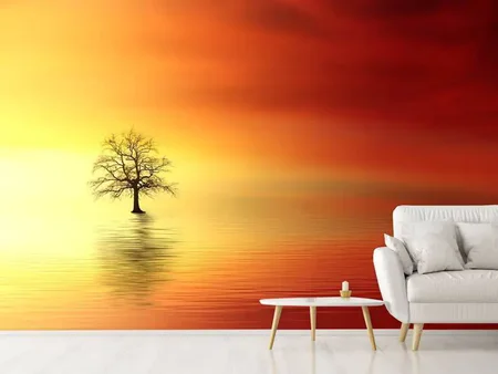 Wall Mural Photo Wallpaper The tree in the water