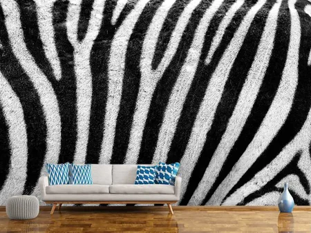 Fotobehang Strip of the zebra