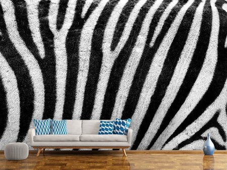 Fototapet Strip of the zebra