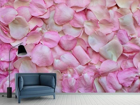 Wall Mural Photo Wallpaper Rose petals in pink 2