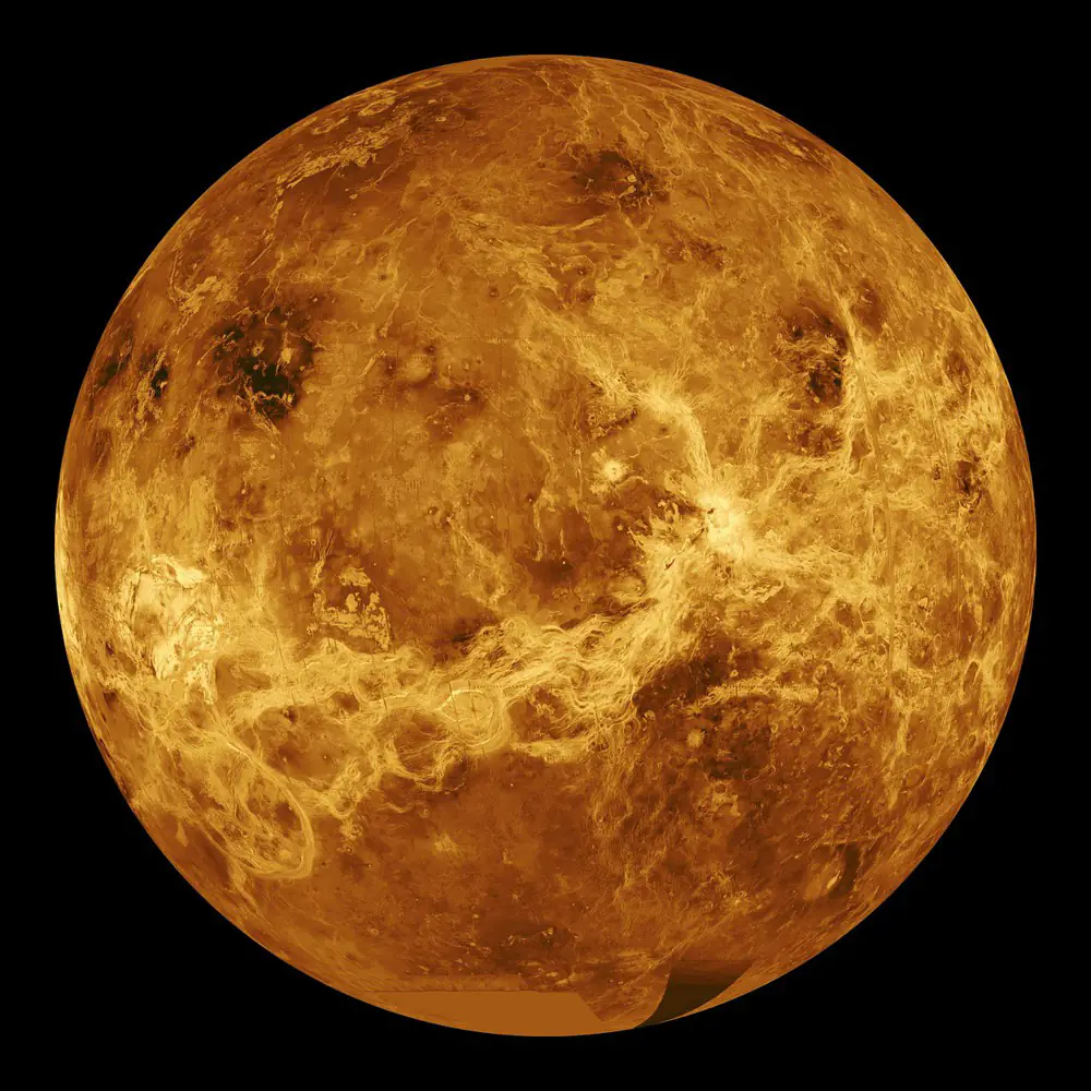 Valokuvatapetti The Venus