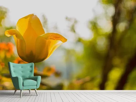 Wall Mural Photo Wallpaper Yellow tulip in the nature