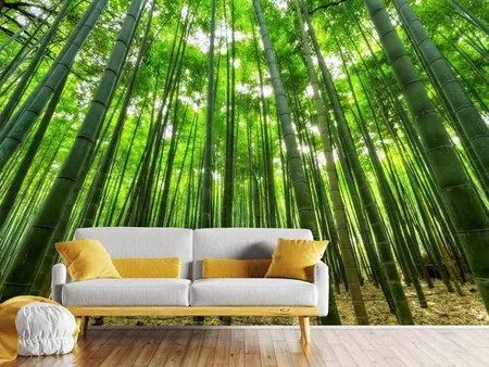 Fotobehang The bamboo forest