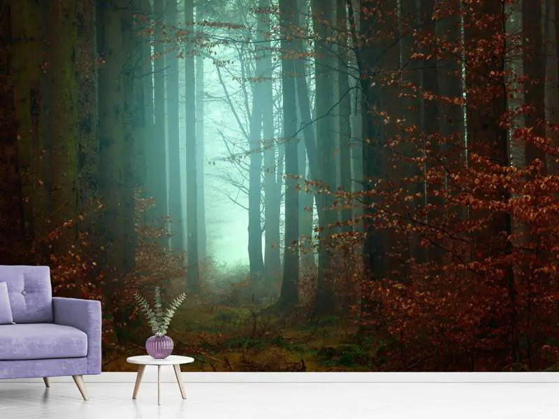 Wall Mural Photo Wallpaper Mood in the forest