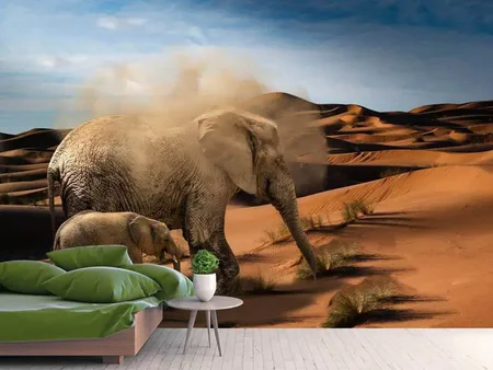 Papier peint photo Éléphants dans le désert