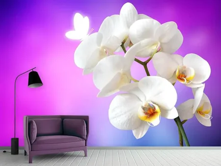 Papier peint photo Fleur d'orchidée