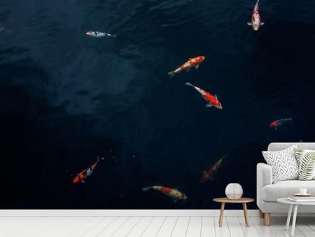 Wall Mural Photo Wallpaper Fish in the pond