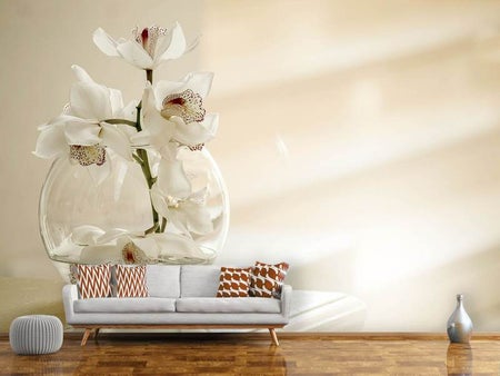 Wall Mural Photo Wallpaper Orchid in the glass