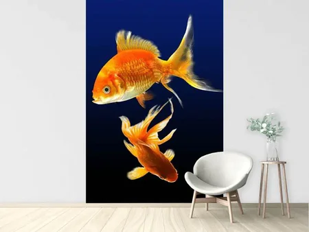 Wall Mural Photo Wallpaper Charming fish