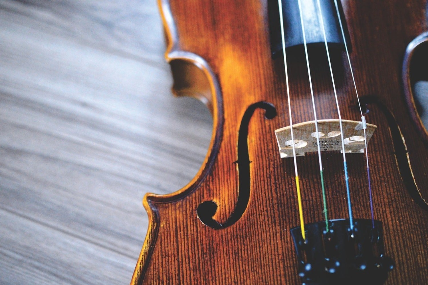Fototapet Close up violin 2
