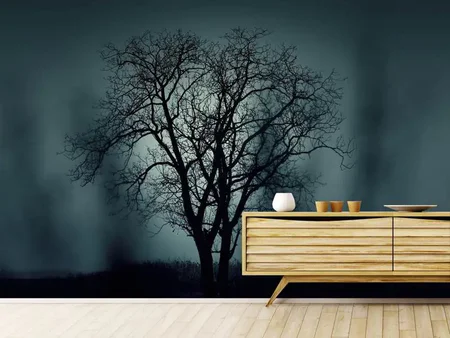 Wall Mural Photo Wallpaper The tree in darkness