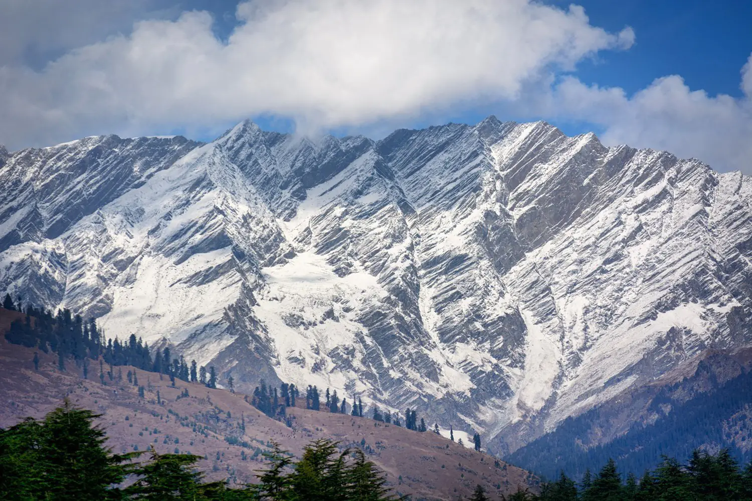 Manali Wallpaper in Sepia Clouds by Arte | Jane Clayton