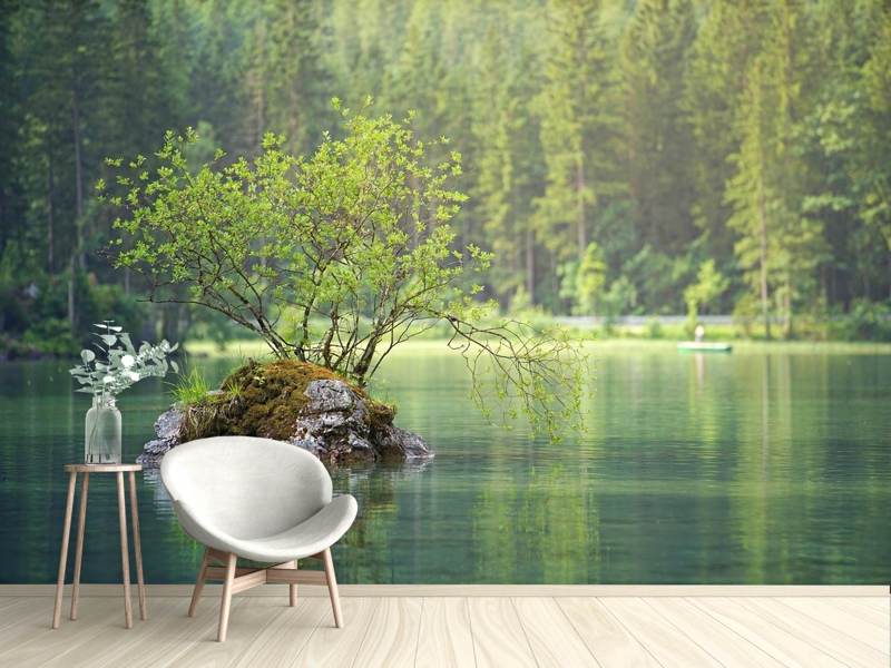 Wall Mural Photo Wallpaper The pond in the forest