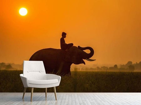Wall Mural Photo Wallpaper The holy elephant