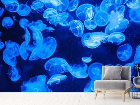 Wall Mural Photo Wallpaper Many jellyfish in the blue water
