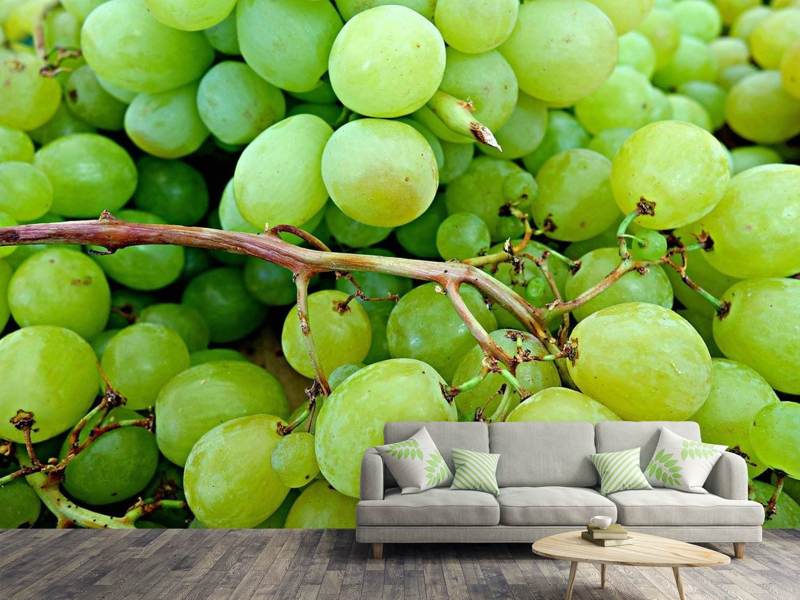 Wall Mural Photo Wallpaper Green grapes