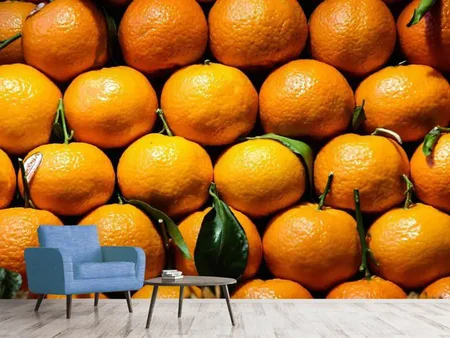 Valokuvatapetti Fresh oranges