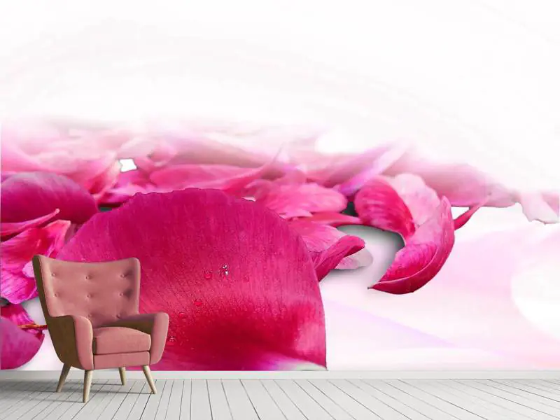 Fototapet Rose petals in pink 3